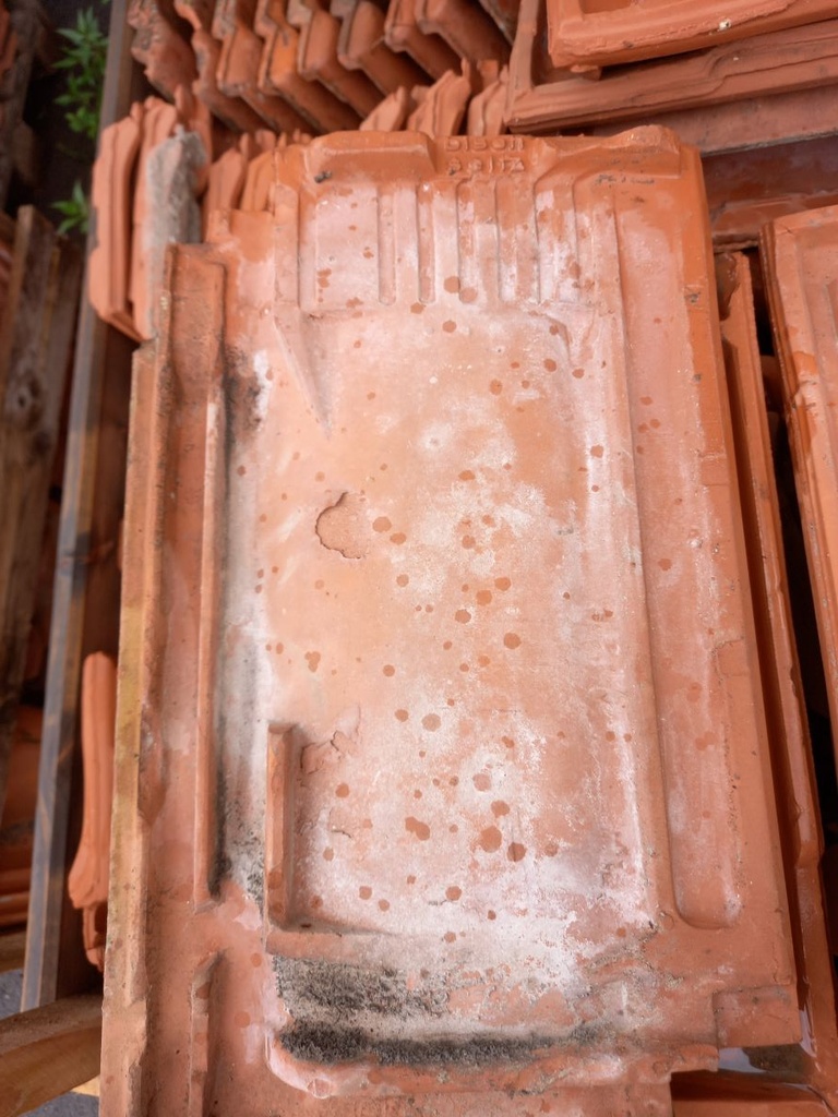 Tuile plate Bish Seltz