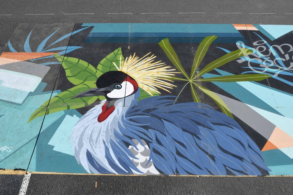 Panneau OSB graphé 12mm oiseau