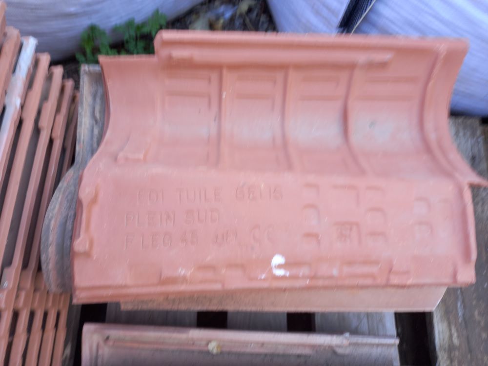 Tuile EDI Gelis Plein Sud FLEG45